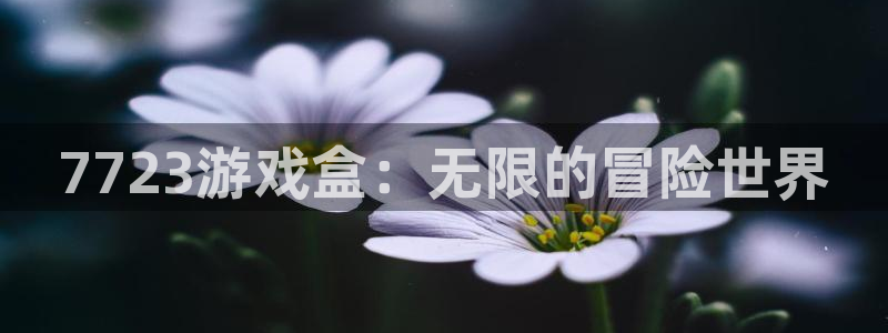杏耀平台官方网站：7723游戏盒：无限的冒险世界