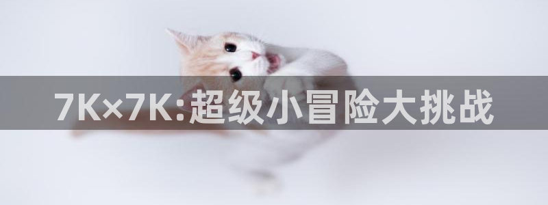杏耀代理登录中心怎么进：7K×7K:超级小冒险大挑战