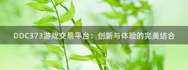 杏耀登录中心：DDC373游戏交易平台：创新与体验的完美结合