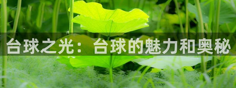 杏耀平台登录：台球之光：台球的魅力和奥秘