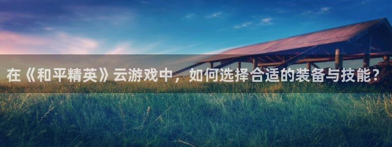 杏耀官方代理：在《和平精英》云游戏中，如何选择合适的装备与技