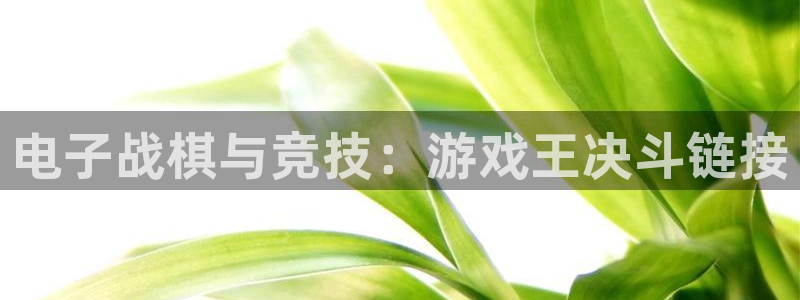 杏耀路线测试：电子战棋与竞技：游戏王决斗链接