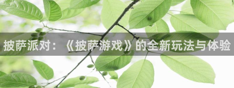 杏耀线路测速地址spp