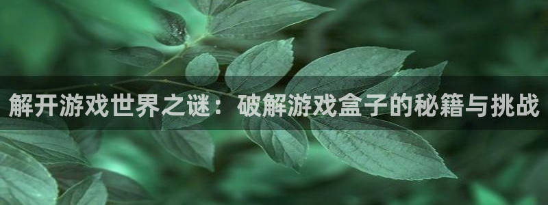 杏耀测速|杏耀代理