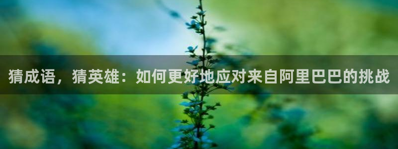 杏耀总代是贴牌吗：猜成语，猜英雄：如何更好地应对来自阿里巴巴