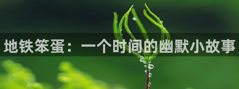 杏耀官网网站
