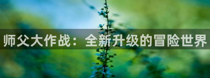 杏耀平台代理注册