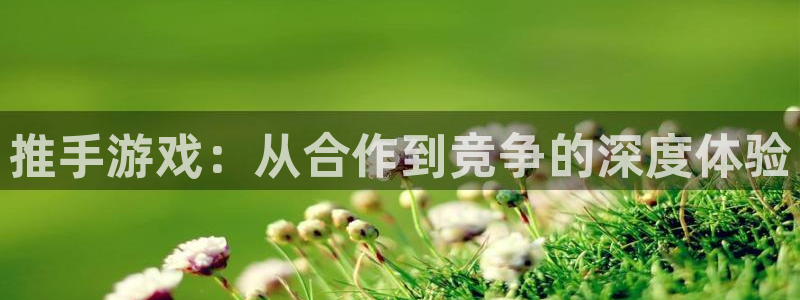 杏耀线路测速中心