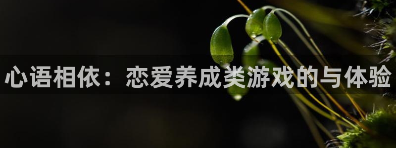 杏耀娱乐：心语相依：恋爱养成类游戏的与体验