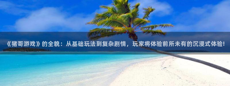 杏耀登录：《猪哥游戏》的全貌：从基础玩法到复杂剧情，玩家将体