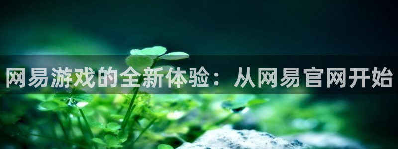 杏耀平台线路测试