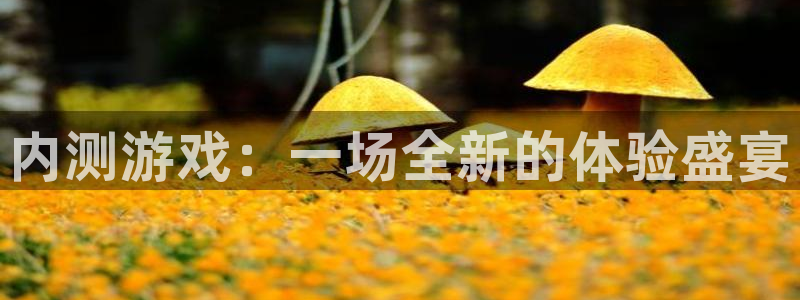 杏耀手机登录线路测速失败：内测游戏：一场全新的体验盛宴