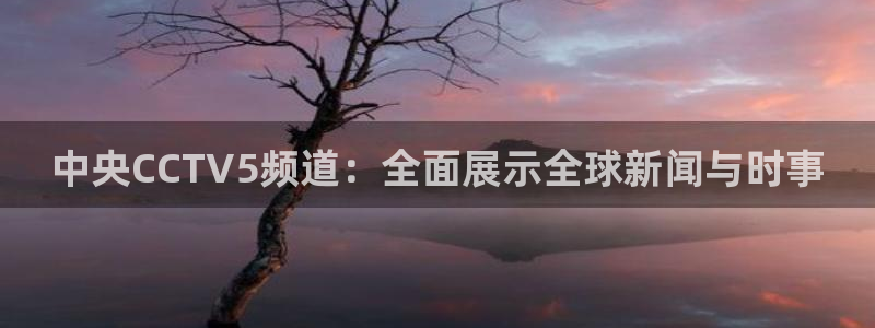 山猫足球赛事直播在线观看