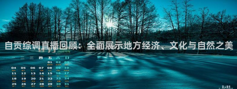 山猫体育电视版：自贡综调直播回顾：全面展示地方经济、文化与自然之美