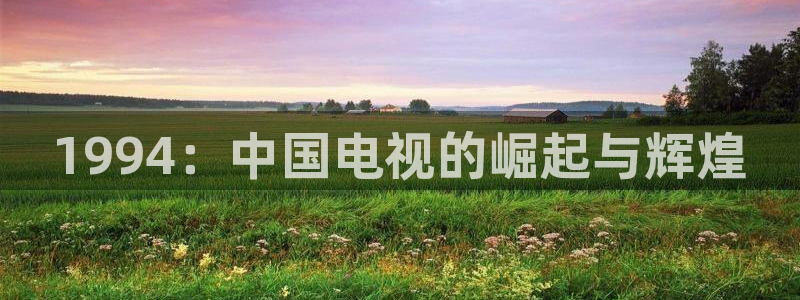 山猫直播足球免费观看