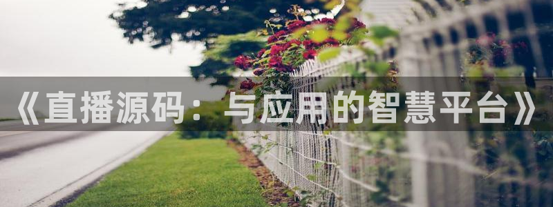 山猫tv篮球直播