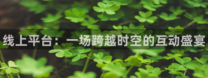 山猫在线体育直播