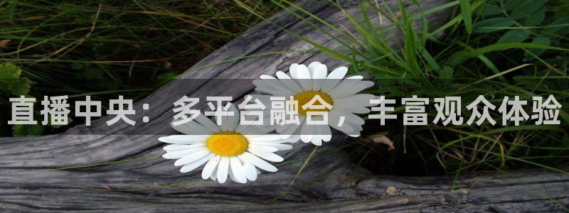 山猫足球免费直播高清视频大全