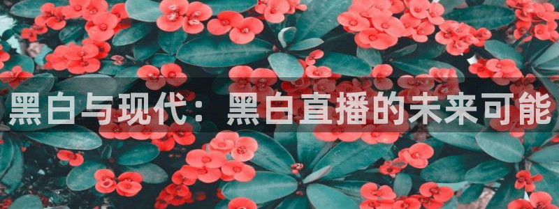 山猫体育电视版：黑白与现代：黑白直播的未来可能