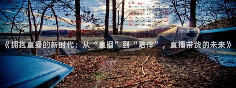 山猫在线观看nba直播比赛：《拥抱直播的新时代：从“直播”到“陪伴”，直播带货的未来》