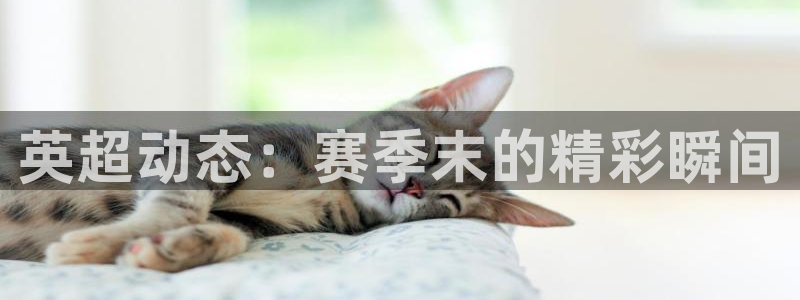 山猫体育赛事直播nba：英超动态：赛季末的精彩瞬间