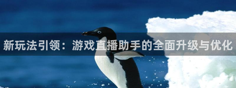 山猫直播nba：新玩法引领：游戏直播助手的全面升级与优化